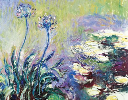 Monet Waterlily Garden Keepsake Boxed Notecards