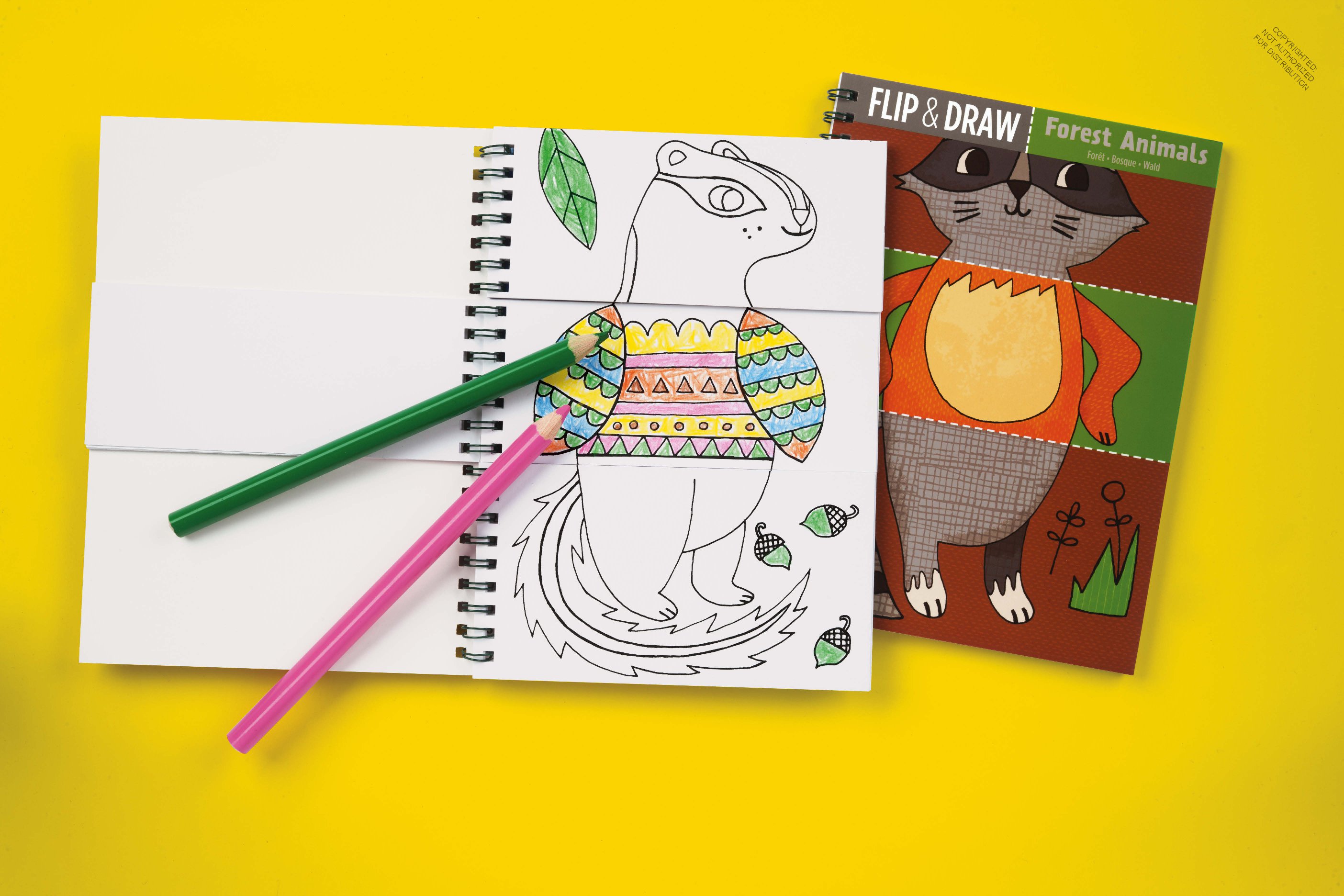 Forest Animals Flip and Draw