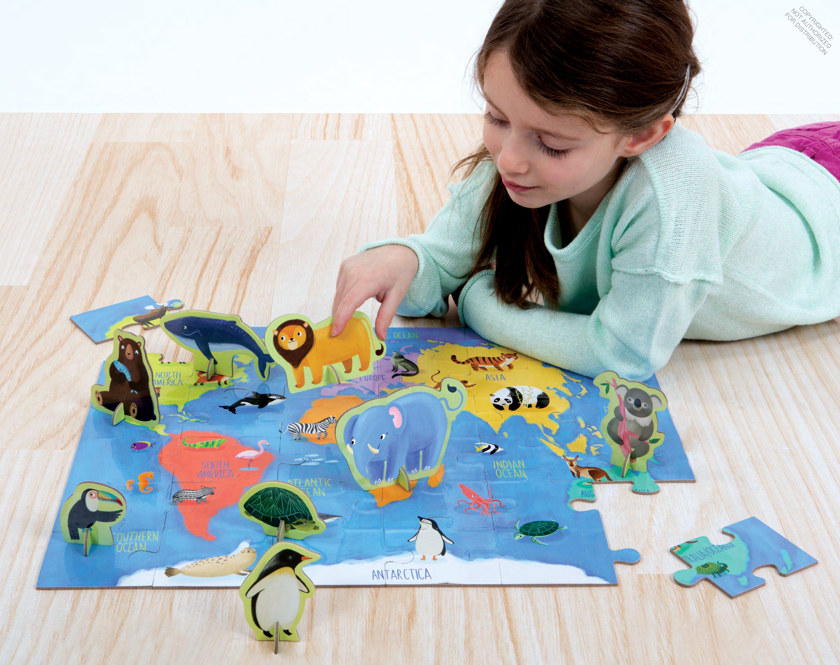 Animals of the World Puzzle Play Set