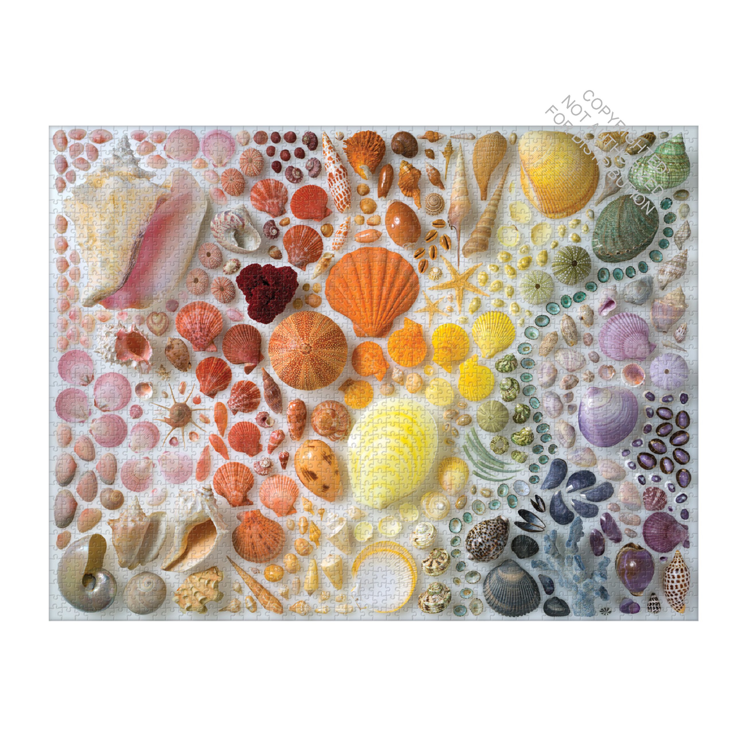 Rainbow Seashells 2000 Piece Puzzle