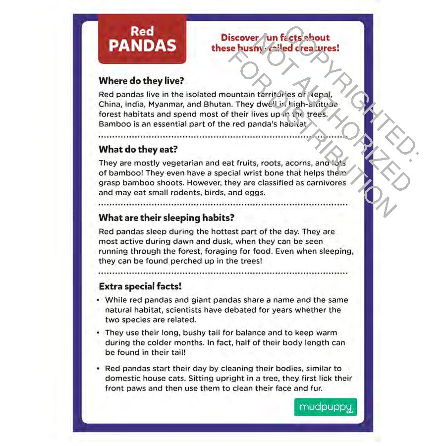 Red Panda Mini Puzzle