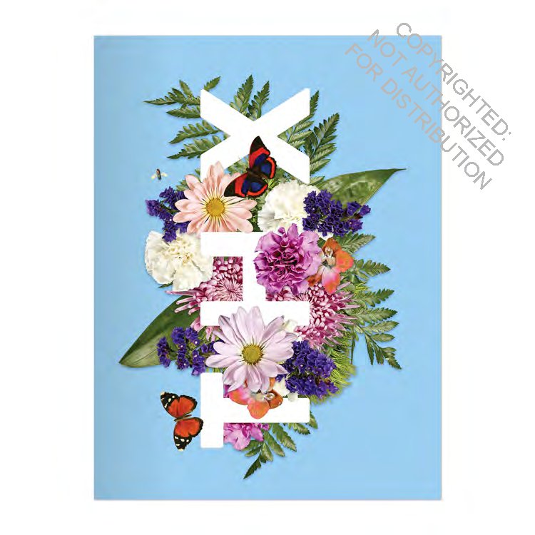 Say It With Flowers Greeting Assortment Notecard Box