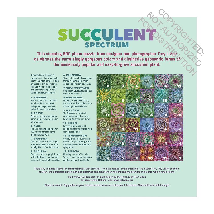 Succulent Spectrum 500 Piece Puzzle