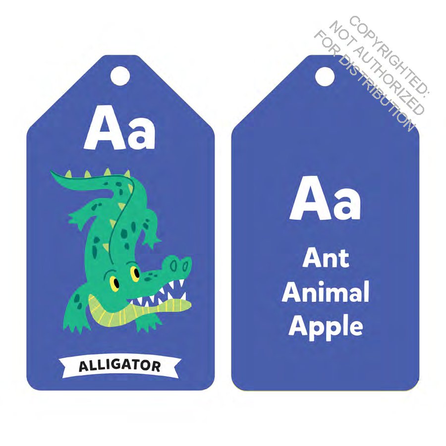 Wildlife ABCs Ring Flash Cards