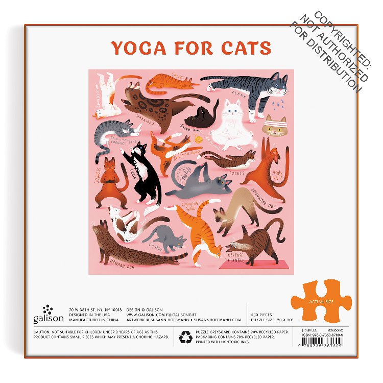 Yoga for Cats