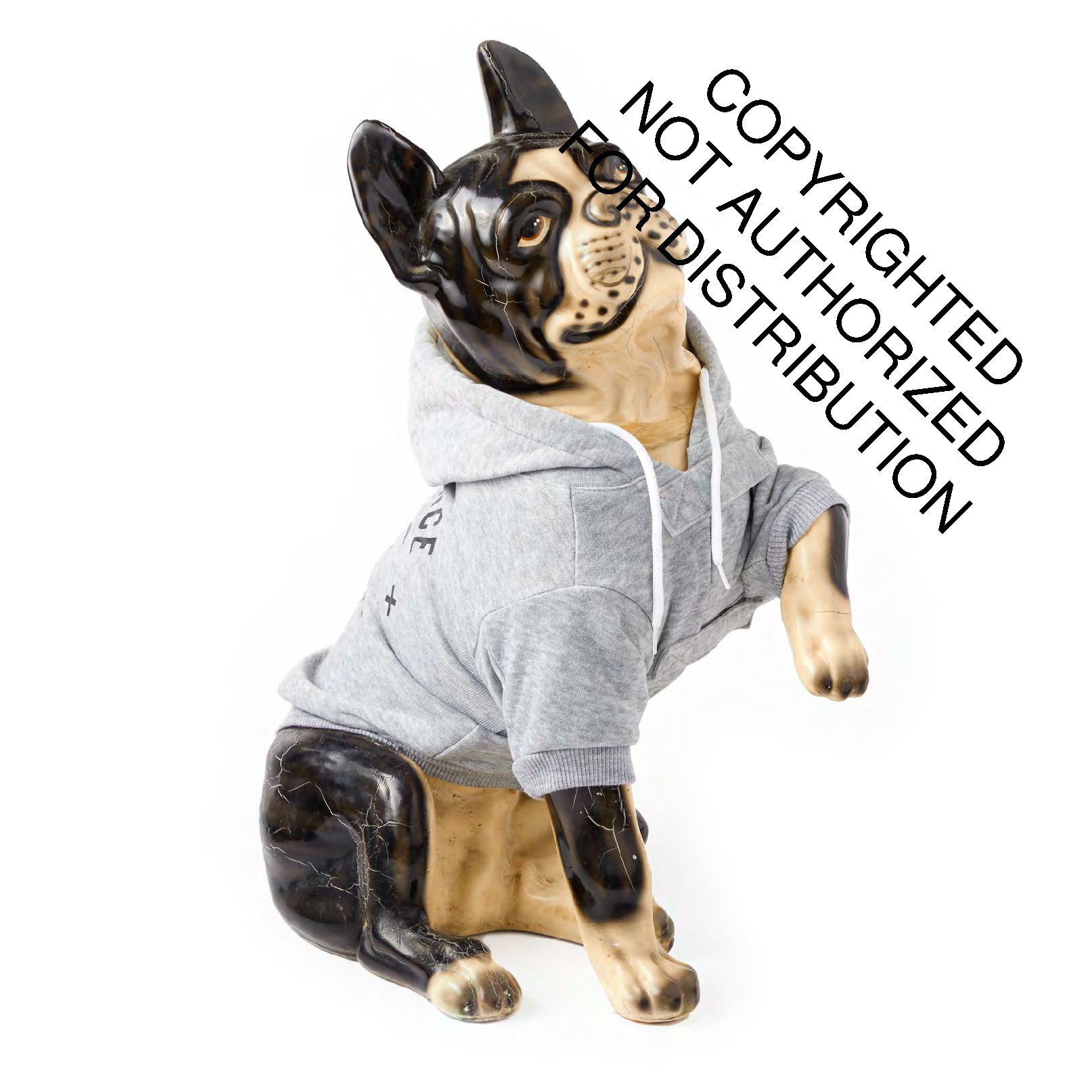 Obedience School Dropout Dog Hoodie - XS