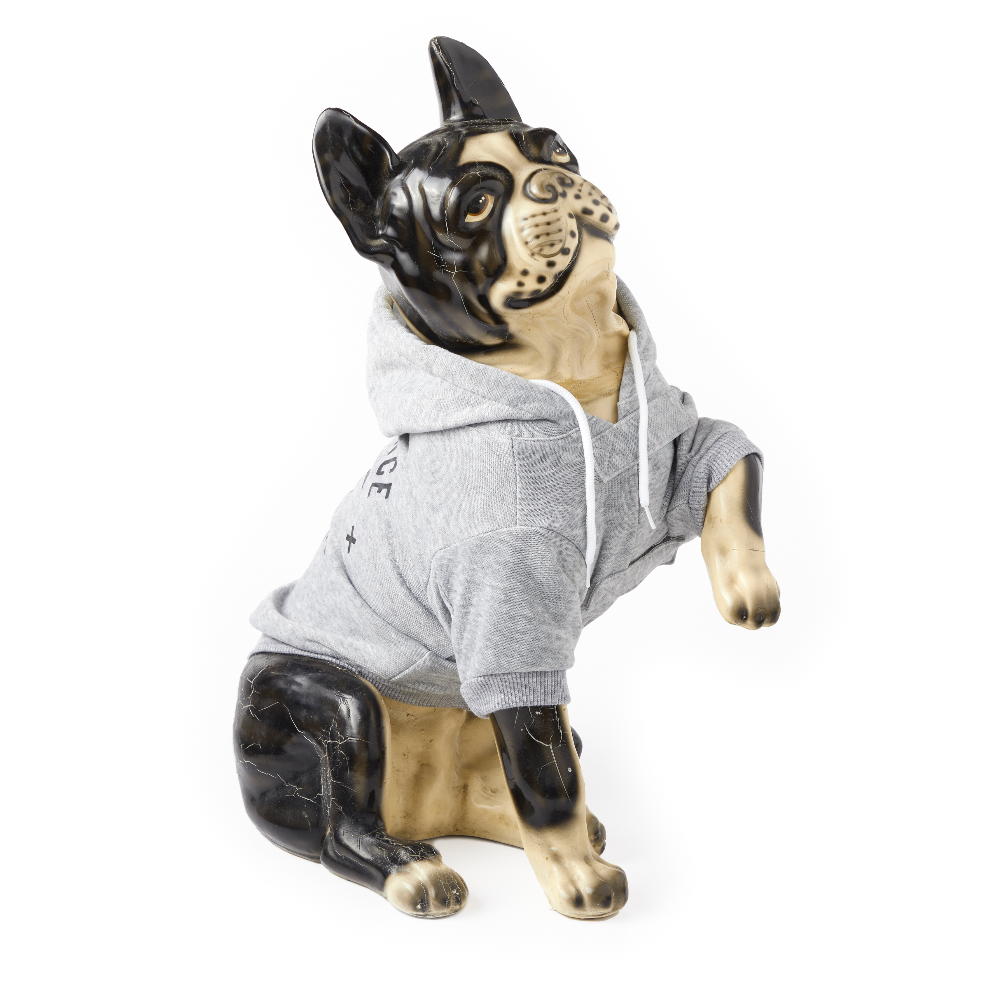 Obedience School Dropout Dog Hoodie - XS