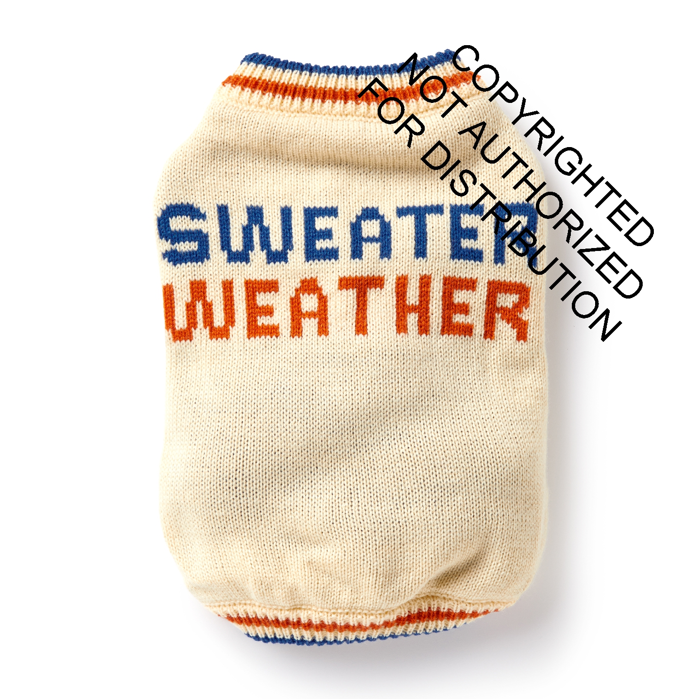 Sweater Weather - Dog Sweater (Small)