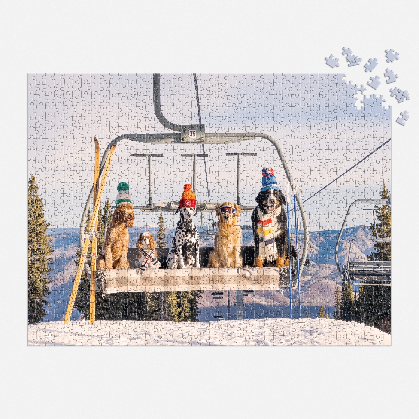 Gray Malin Aspen 1000 Piece Book Box Puzzle