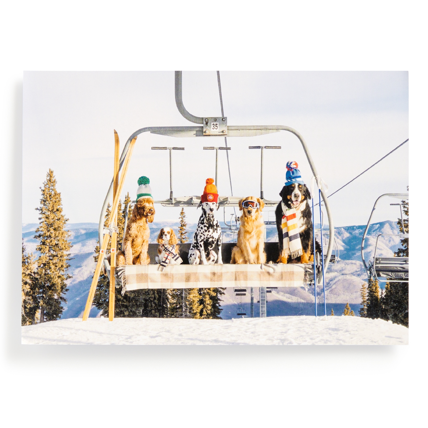 Gray Malin Aspen 1000 Piece Book Box Puzzle