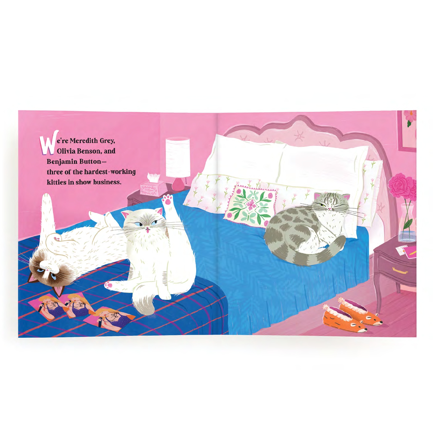 Karma is Three Cats Picture Book