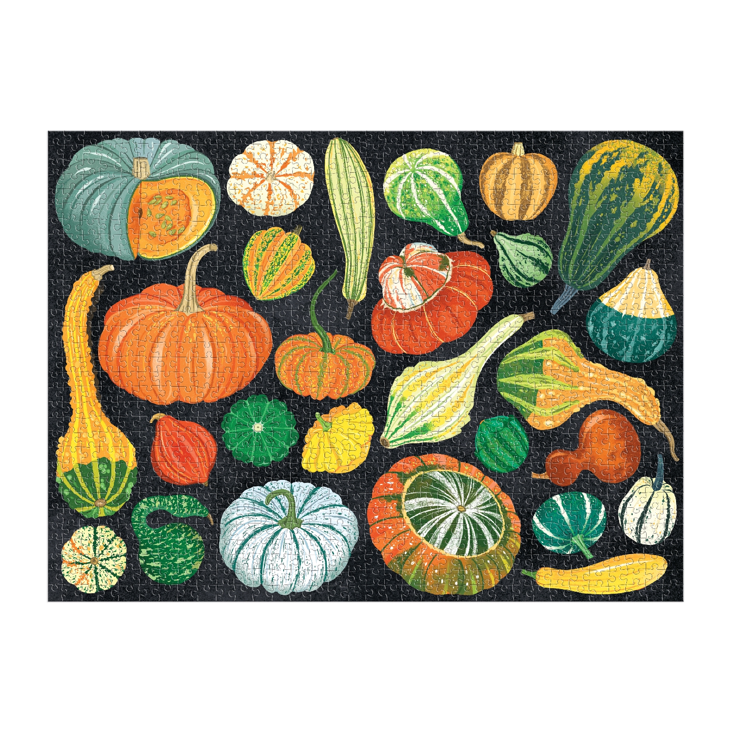 World of Pumpkins 1000 Piece Puzzle