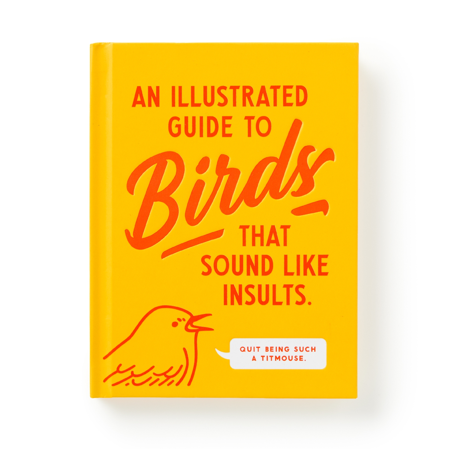An Illustrated Guide to Birds that Sound like Insults