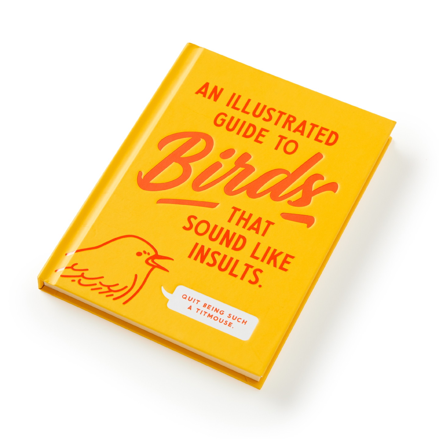 An Illustrated Guide to Birds that Sound like Insults