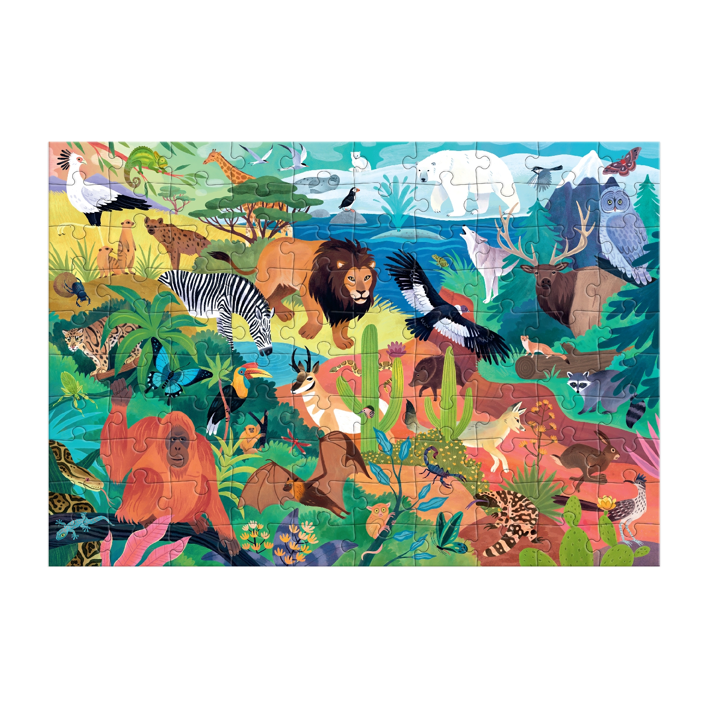 Animals of the World 100 Piece Puzzle