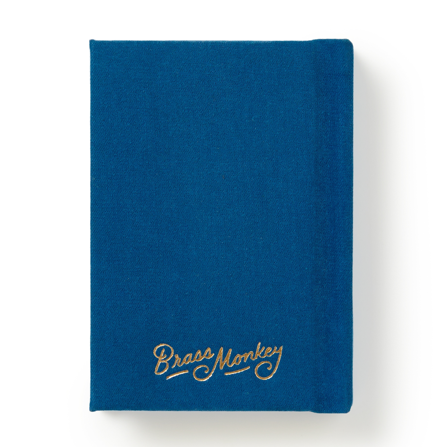 Future Blackmail Tiny Diary