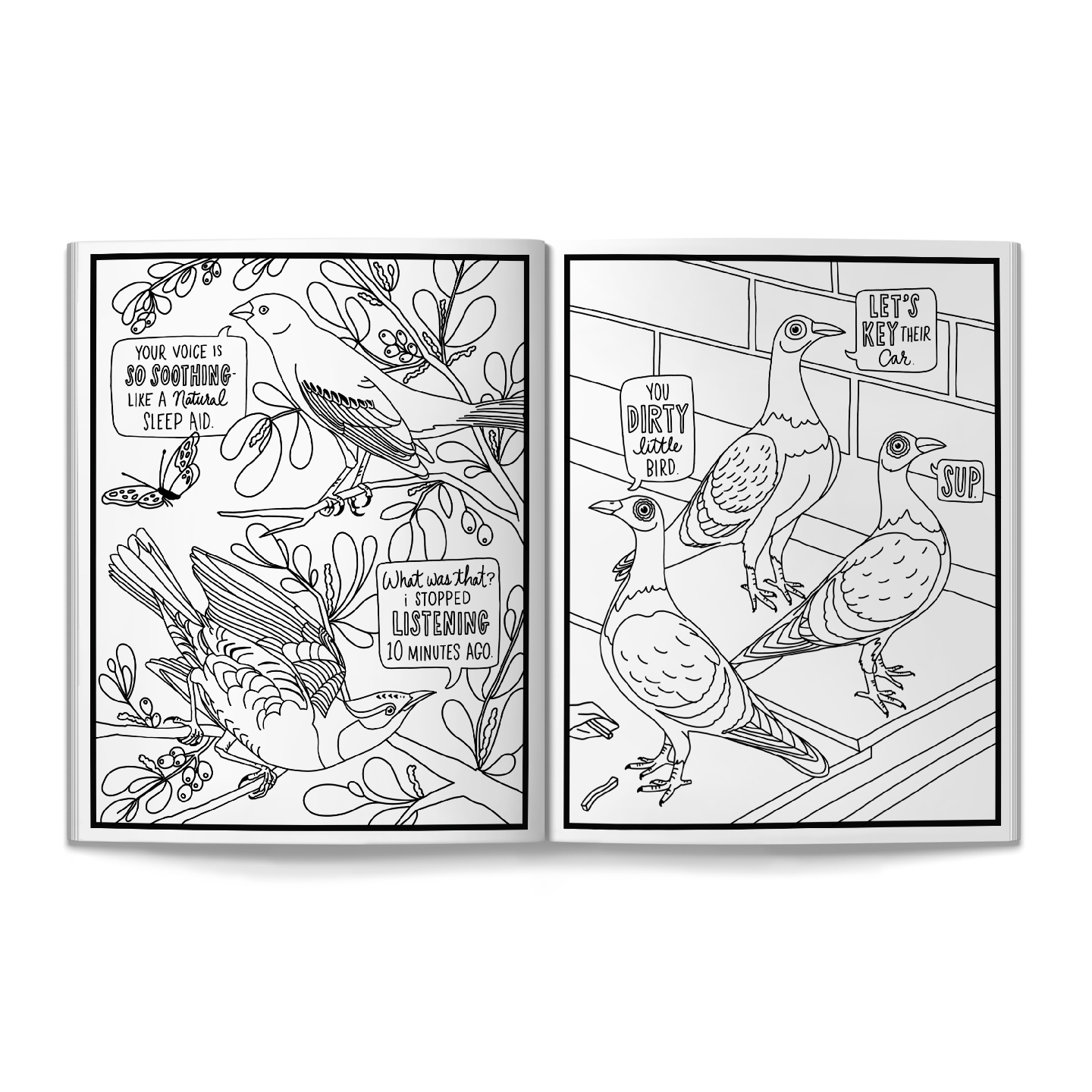 Salty Birds Coloring Book