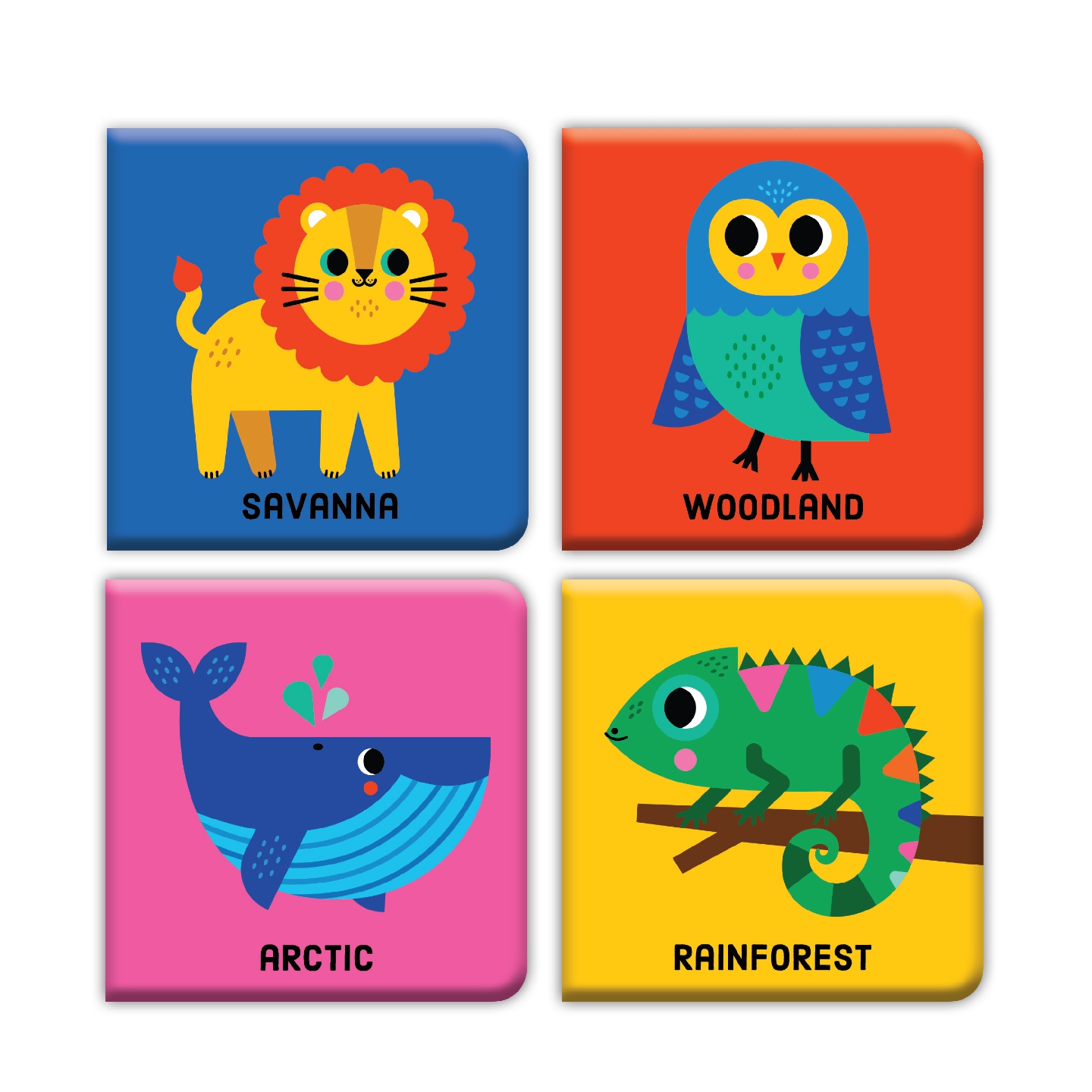 Animals Of The World Color Magic Bath Book Set