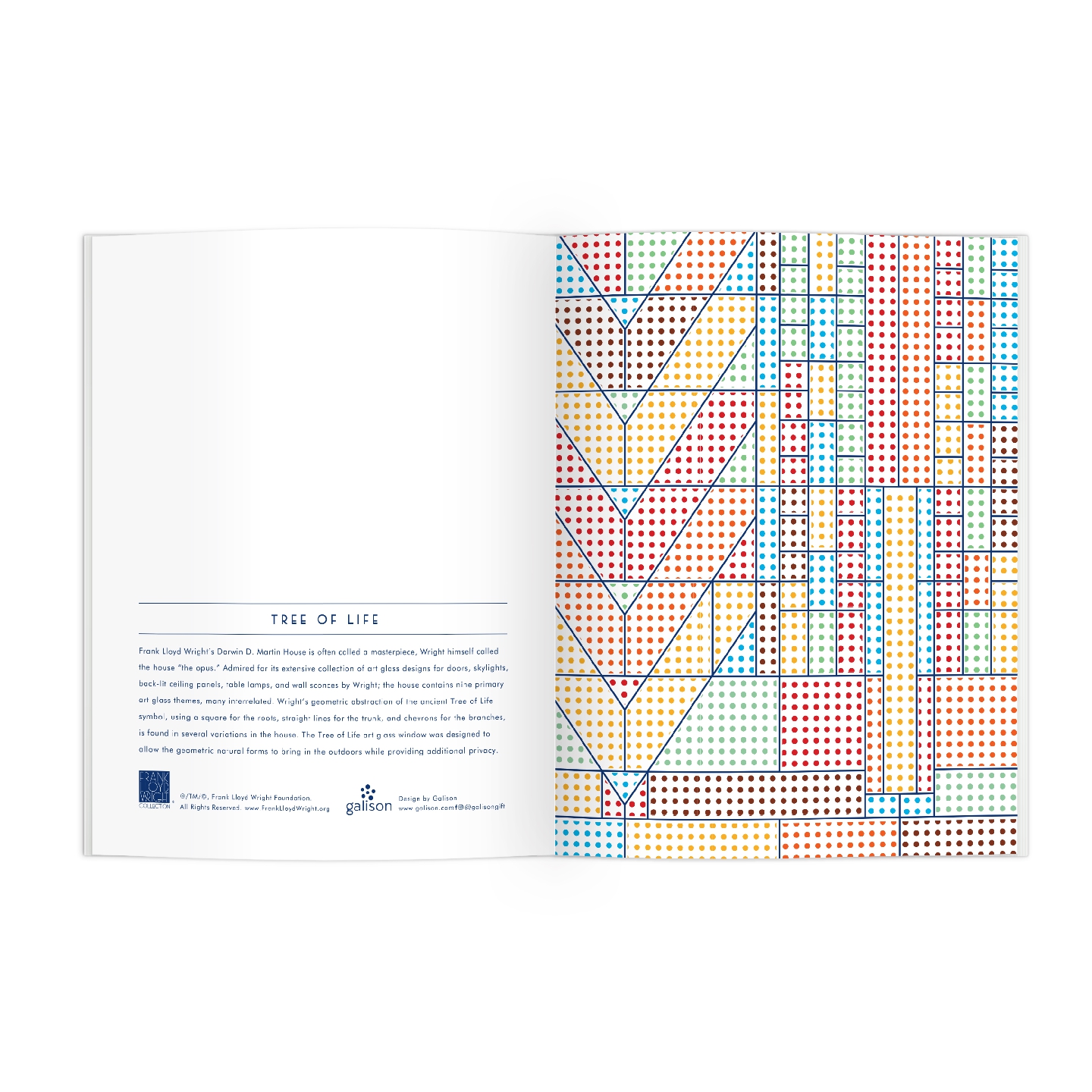 Frank Lloyd Wright Magic Patterns Painting Kit