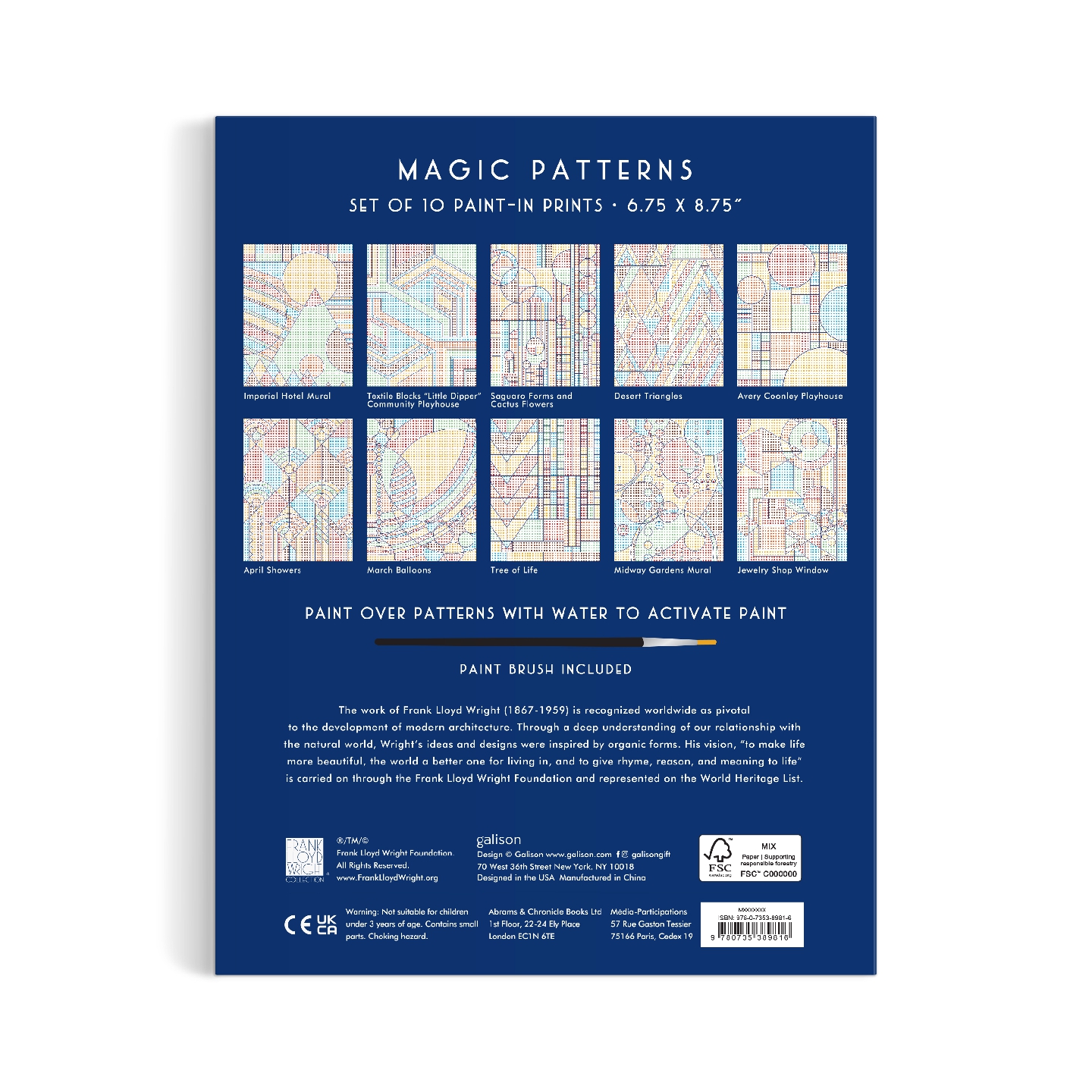 Frank Lloyd Wright Magic Patterns Painting Kit