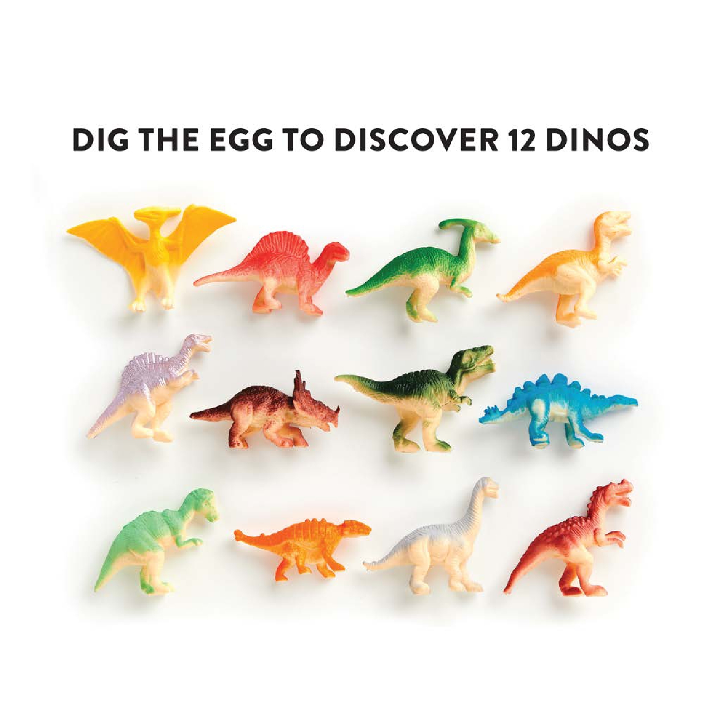 Giant Dino Dig! Excavation Kit