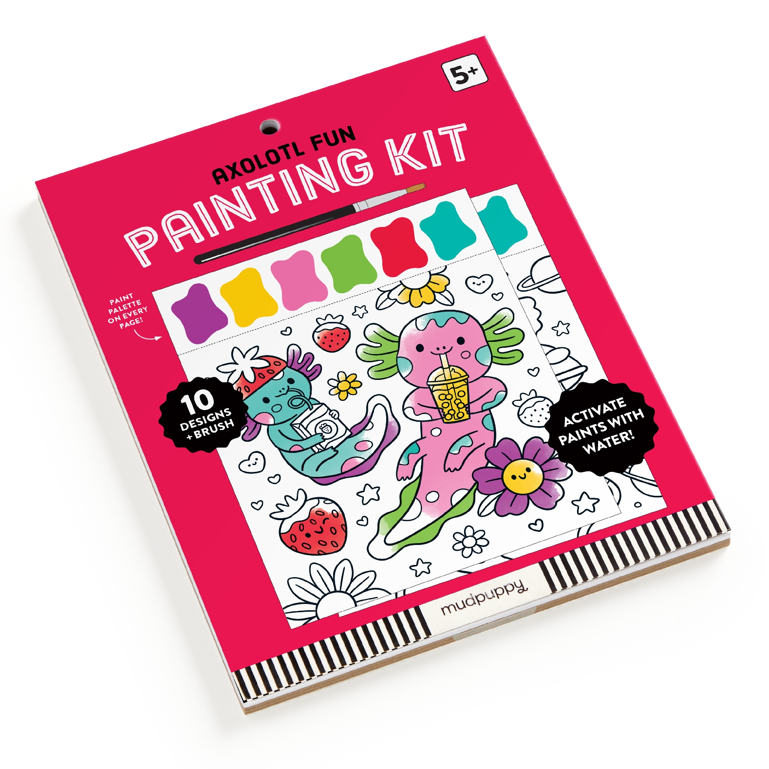 Axolotl Fun Painting Kit