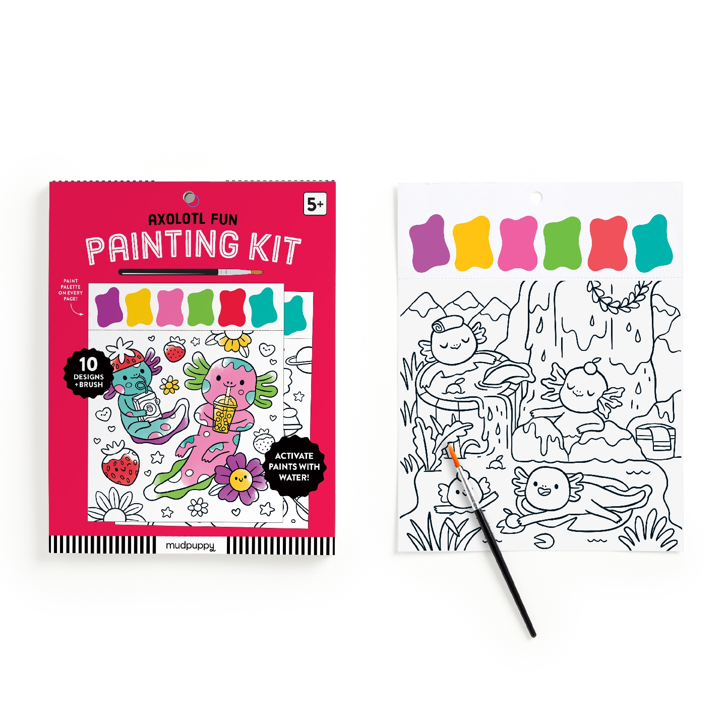 Axolotl Fun Painting Kit