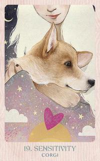 Ask the Canine Sages