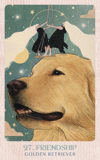 Ask the Canine Sages