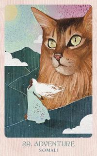 Ask the Feline Sages