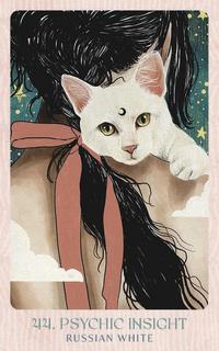 Ask the Feline Sages