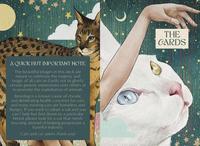 Ask the Feline Sages