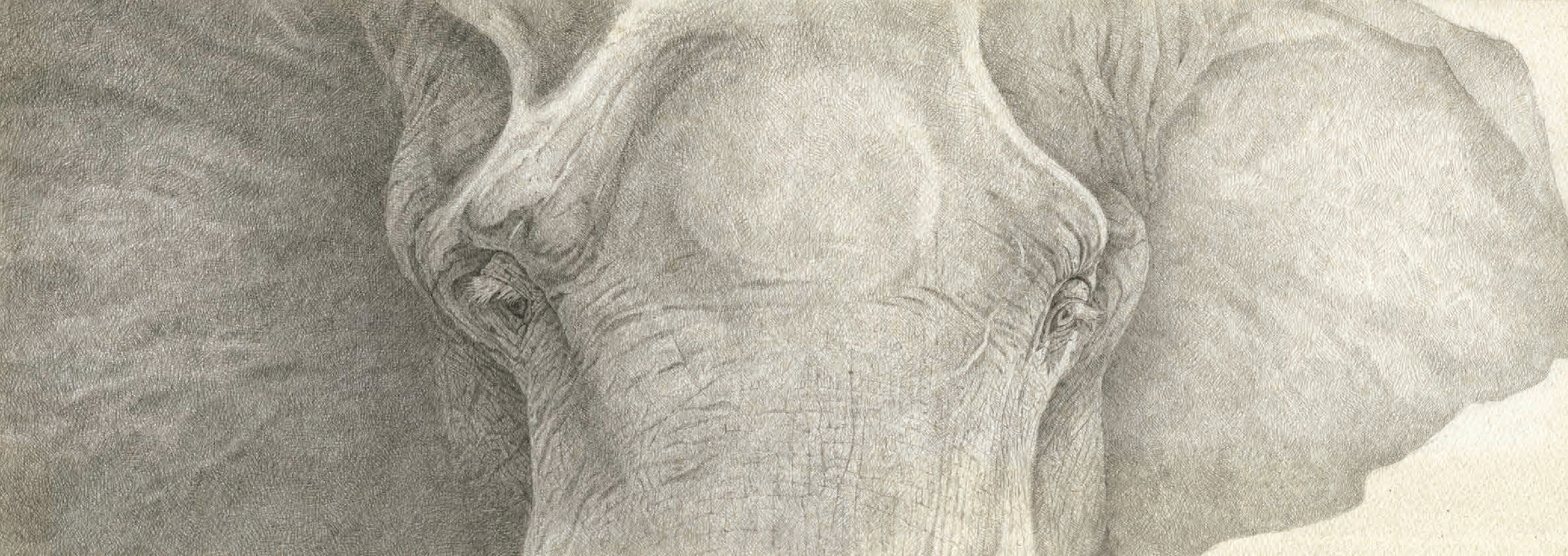 Saving H'non: Chang and the Elephant