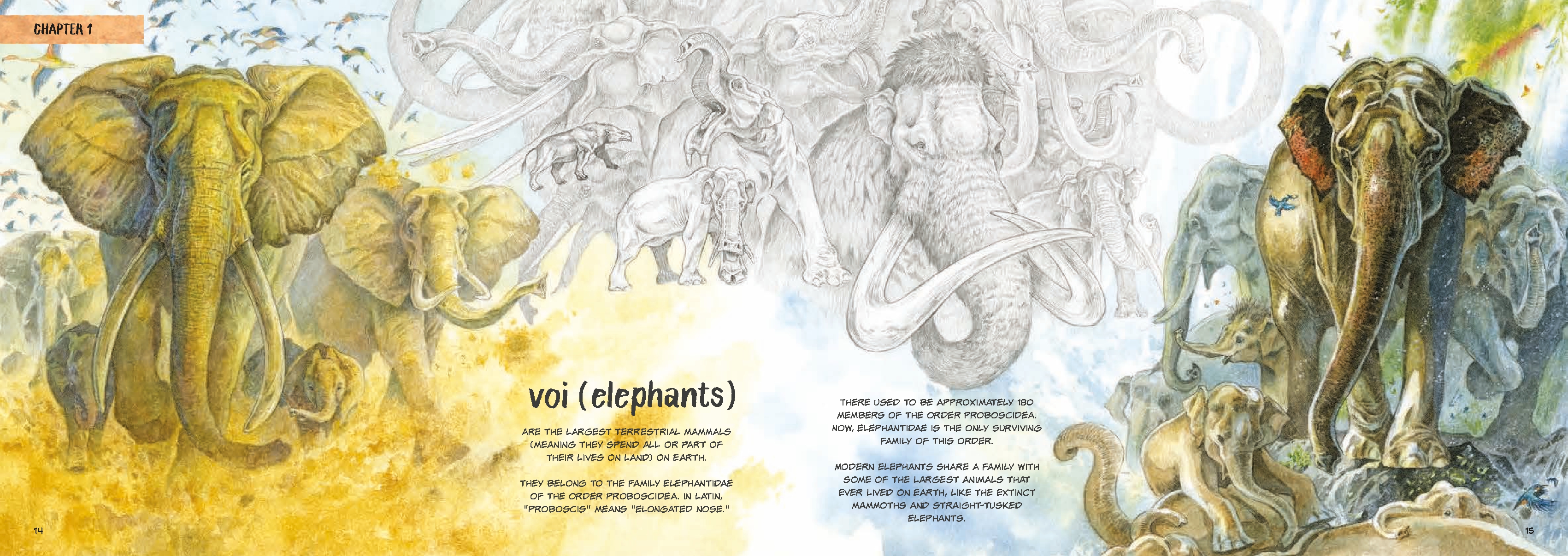 Saving H'non: Chang and the Elephant