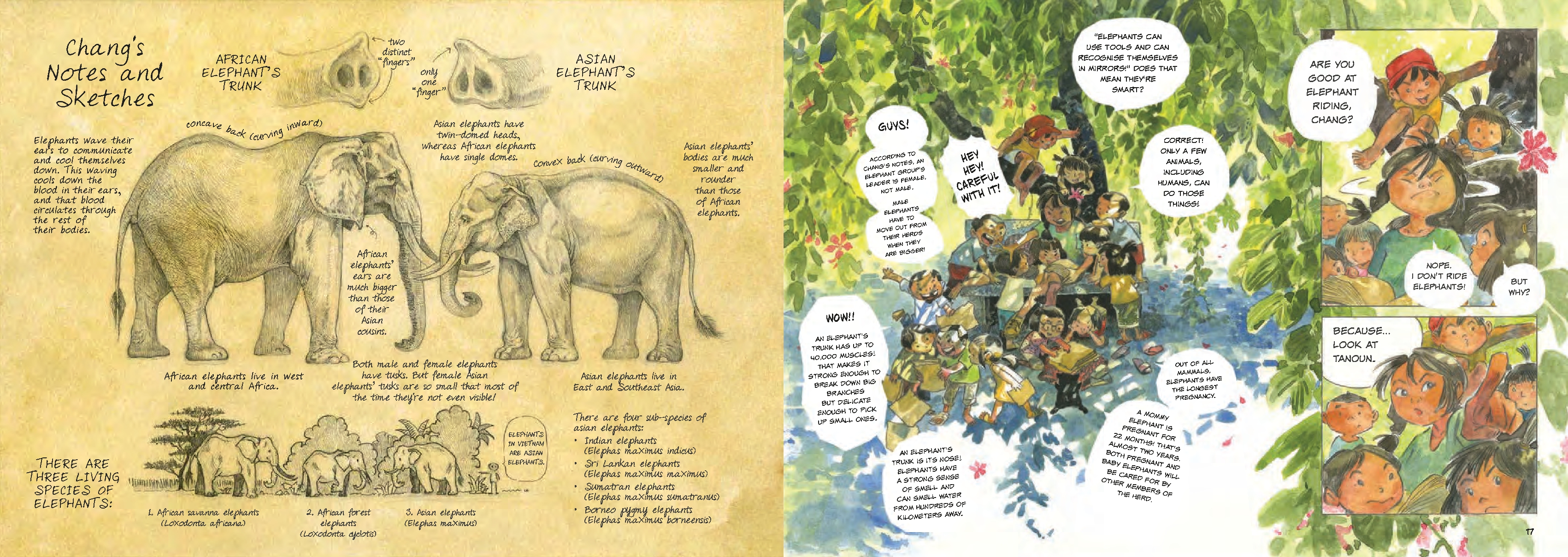 Saving H'non: Chang and the Elephant