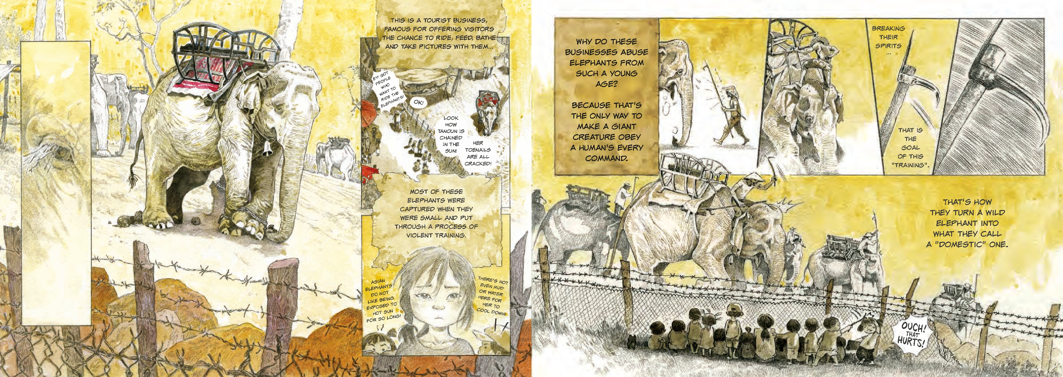 Saving H'non: Chang and the Elephant