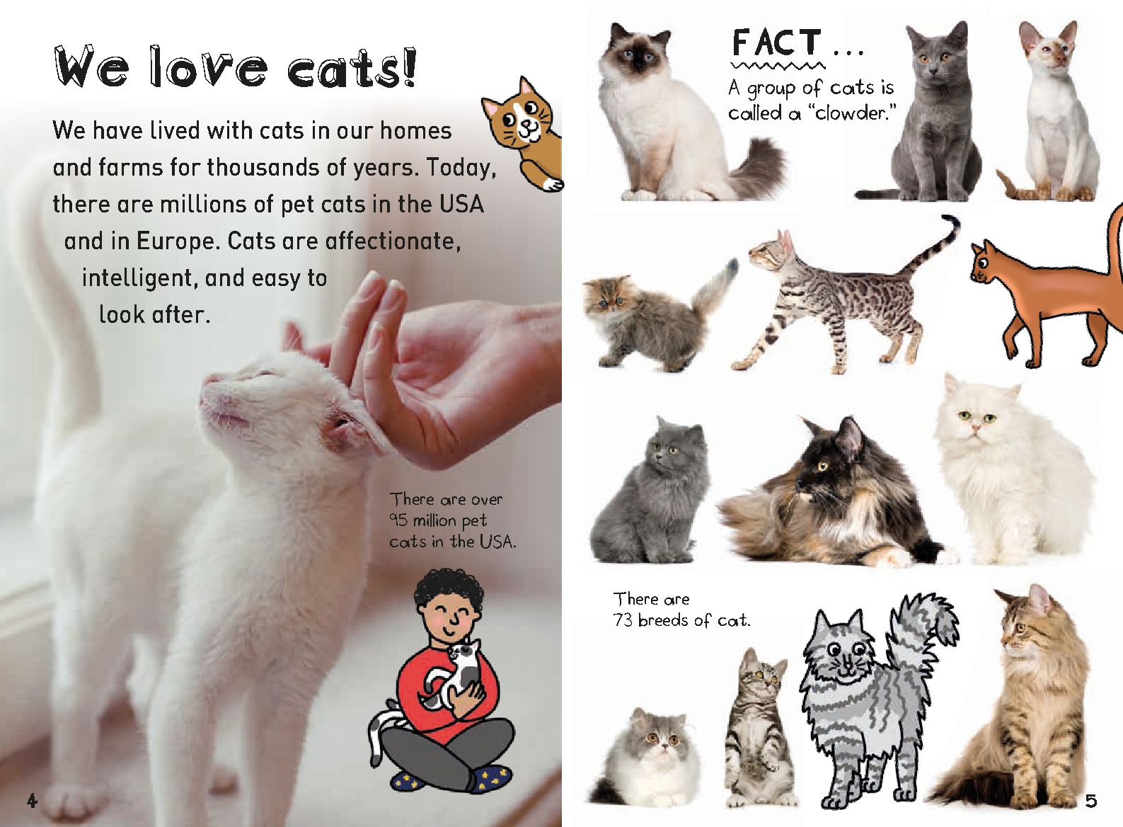 It's All About. . . Cats and Kittens