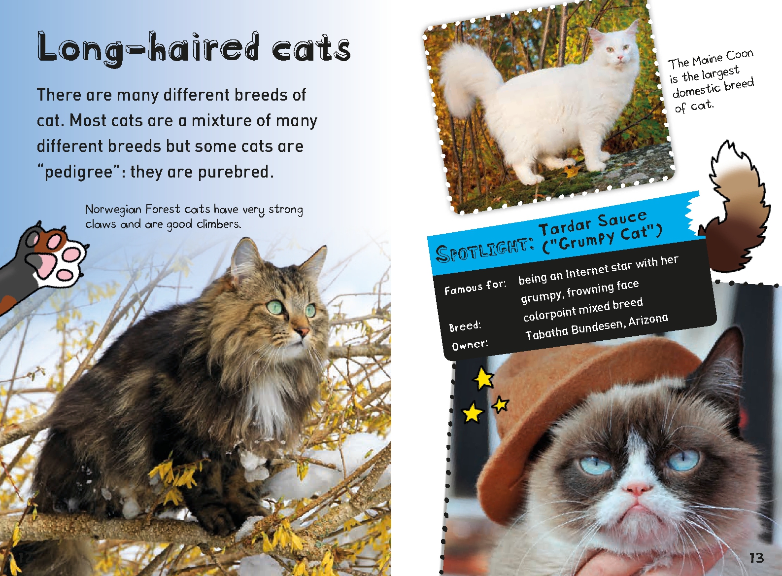 It's All About. . . Cats and Kittens