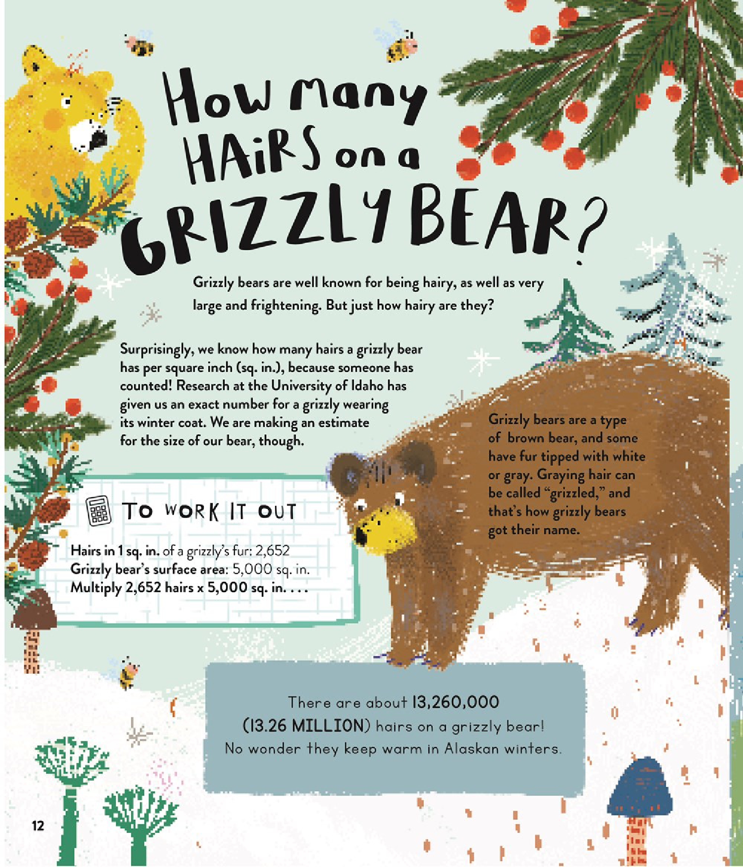 How Many Hairs on a Grizzly Bear?