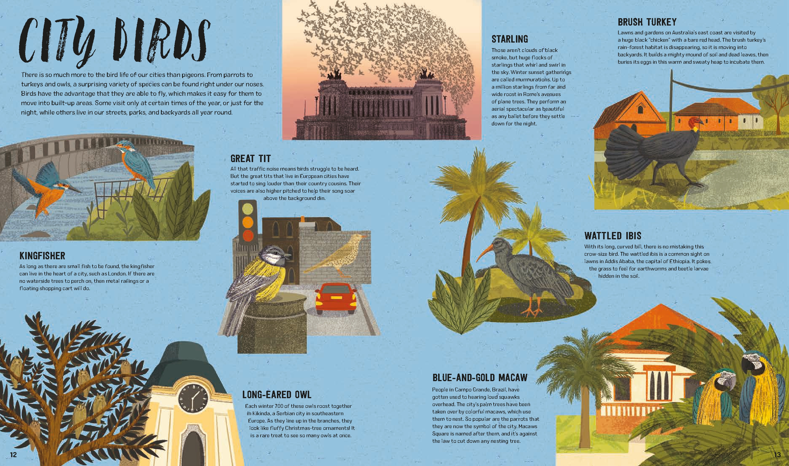 Wild City