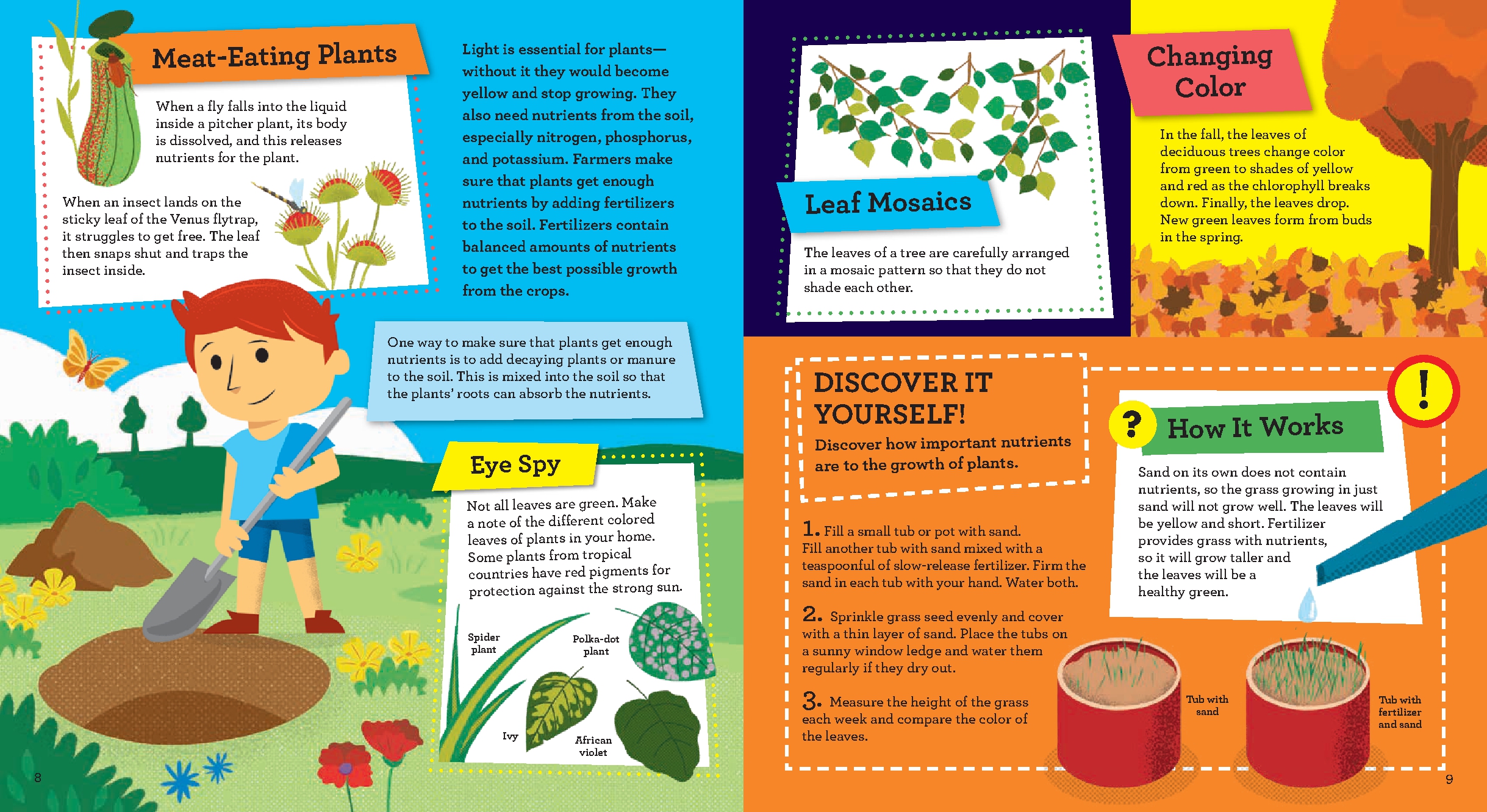 Discover it Yourself: Plants and Flowers