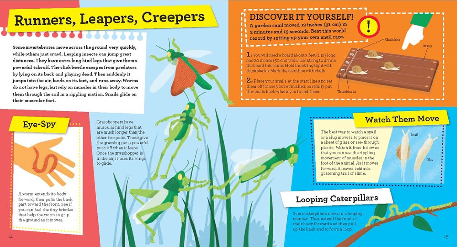 Discover It Yourself: Invertebrates