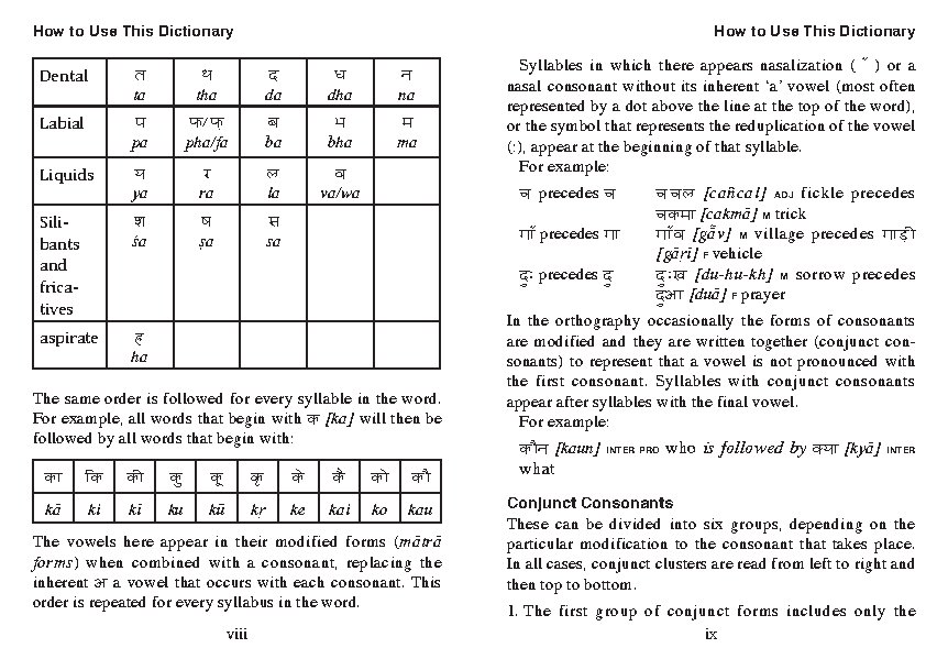 Mini Hindi Dictionary
