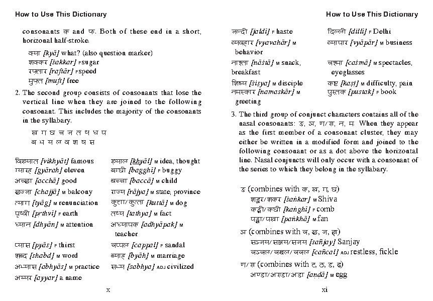 Mini Hindi Dictionary