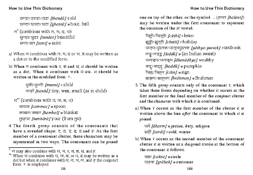 Mini Hindi Dictionary