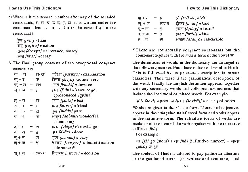 Mini Hindi Dictionary