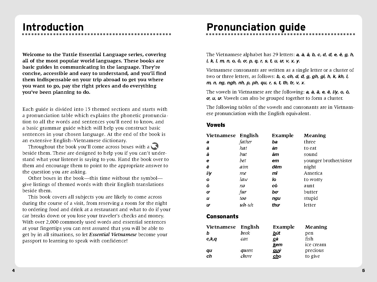 Essential Vietnamese Phrasebook & Dictionary