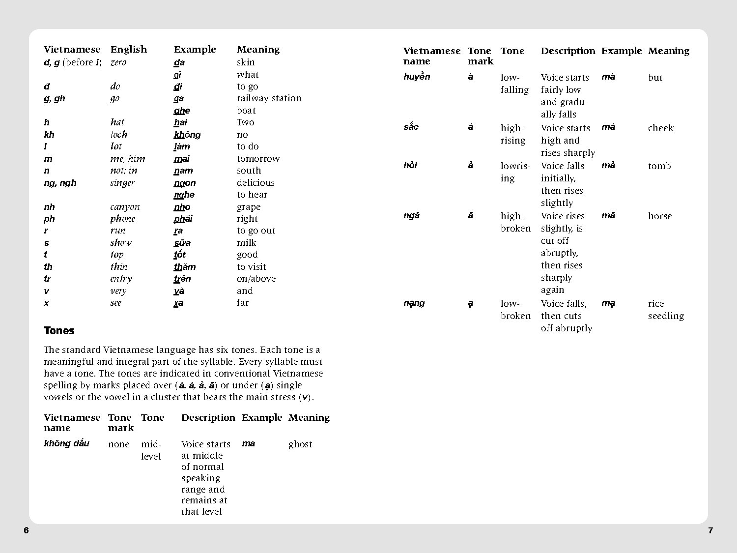 Essential Vietnamese Phrasebook & Dictionary
