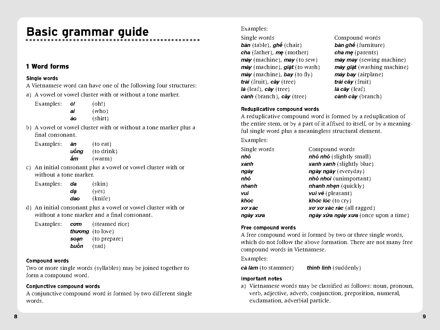 Essential Vietnamese Phrasebook & Dictionary