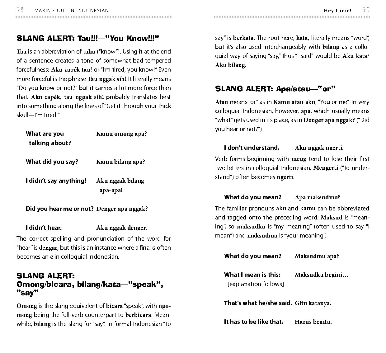 Making Out in Indonesian Phrasebook & Dictionary